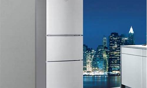 西门子冰箱质量怎么样,排名如何_西门子冰箱质量怎么样,排名如何看